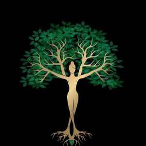 The Energy Experience