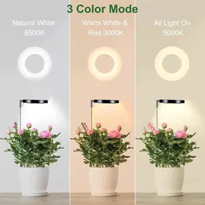 USB mini plant lamp, white light, warm and white combination with telescopic tube to adjust height, insert soil, 3-tone full spectrum, brightness timing.
