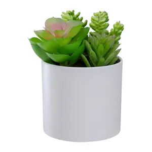 Northlight 5.5" Artificial Succulent Arrangement in Pot