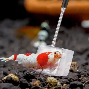 4 Pc Extendable Handle Shrimp Nets