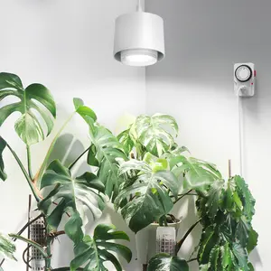 Barrina TR40 Hanging Plant Lights for Indoor Growing, 40W 5000K Full Spectrum, Adjustable Beam Angle (15°-60°), High PPFD, Spotlight Grow Light with Timer for Indoor, Large Tall Plant, Flowers, White