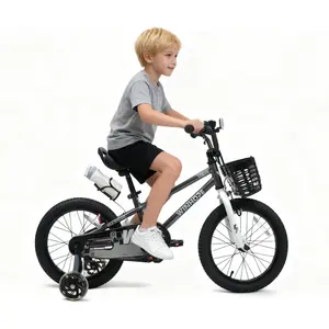 Winhope Hero Kids’ Bicycle for Ages 2–9 | 12–18-inch model with light-up auxiliary wheels, front basket, water bottle holder | 95% preassembled, dual brakes, adjustable seat and handlebars