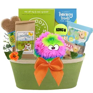 Halloween Party Dog Gift Basket
