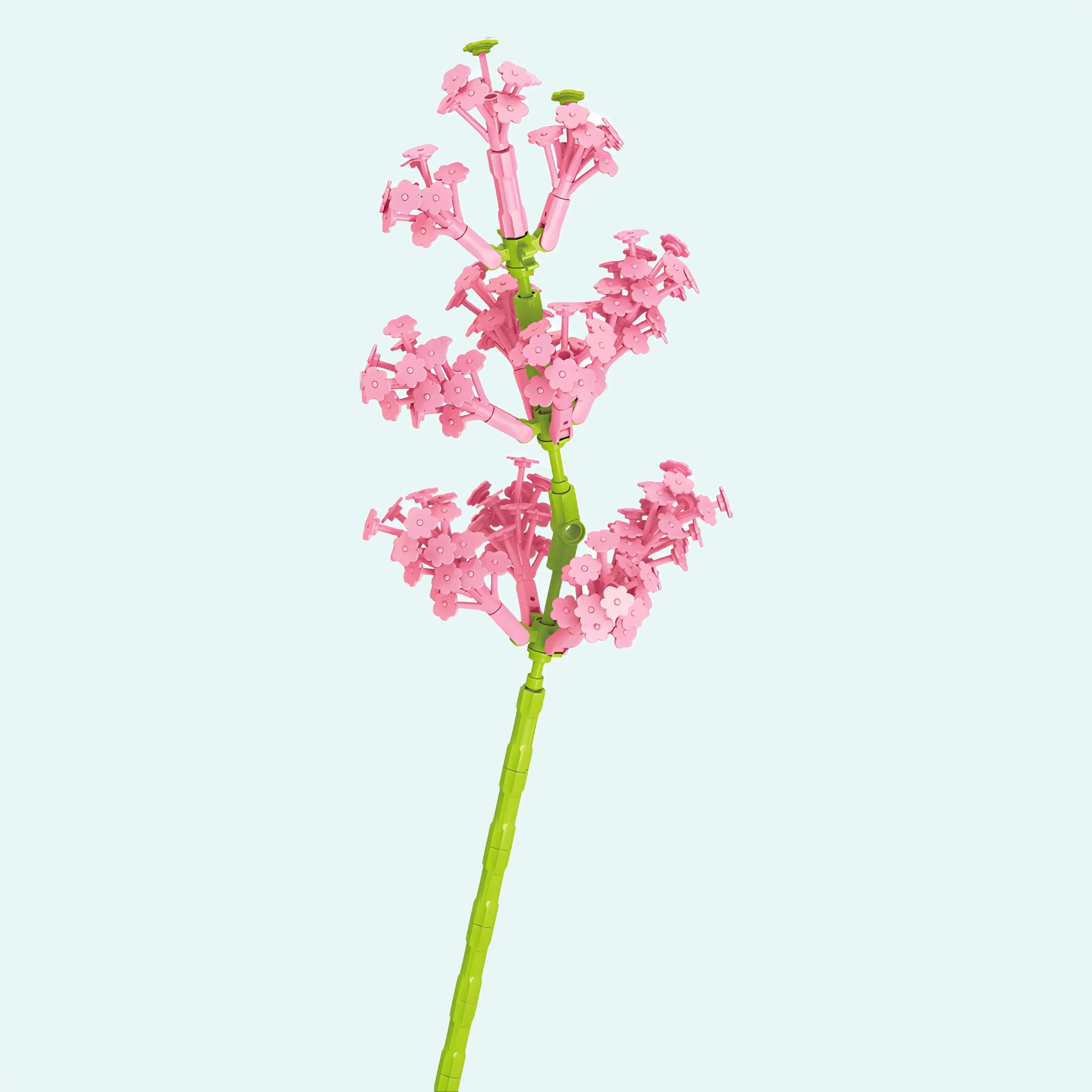 Delicate Cherry Blossom