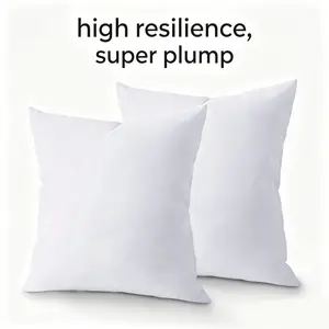 20x20 Pillow Inserts Set of 2, Hypoallergenic Down Alternative, Fluffy & Firm, No Flatten Throw Pillow Inserts for Couch Sofa Bed