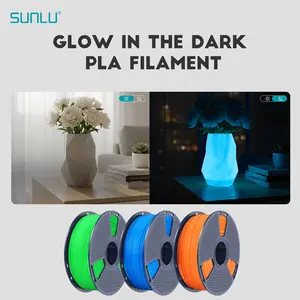 SUNLU | Glow in The Dark (Luminous) 3D Printer Filament 1KG PLA，PETG | Smooth Printing High Toughness No Clogging | Beginner-friendly, Creative gifts