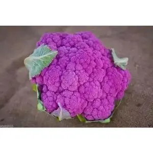 Purple heads Graffiti Cauliflower Seeds, VEGETABLE