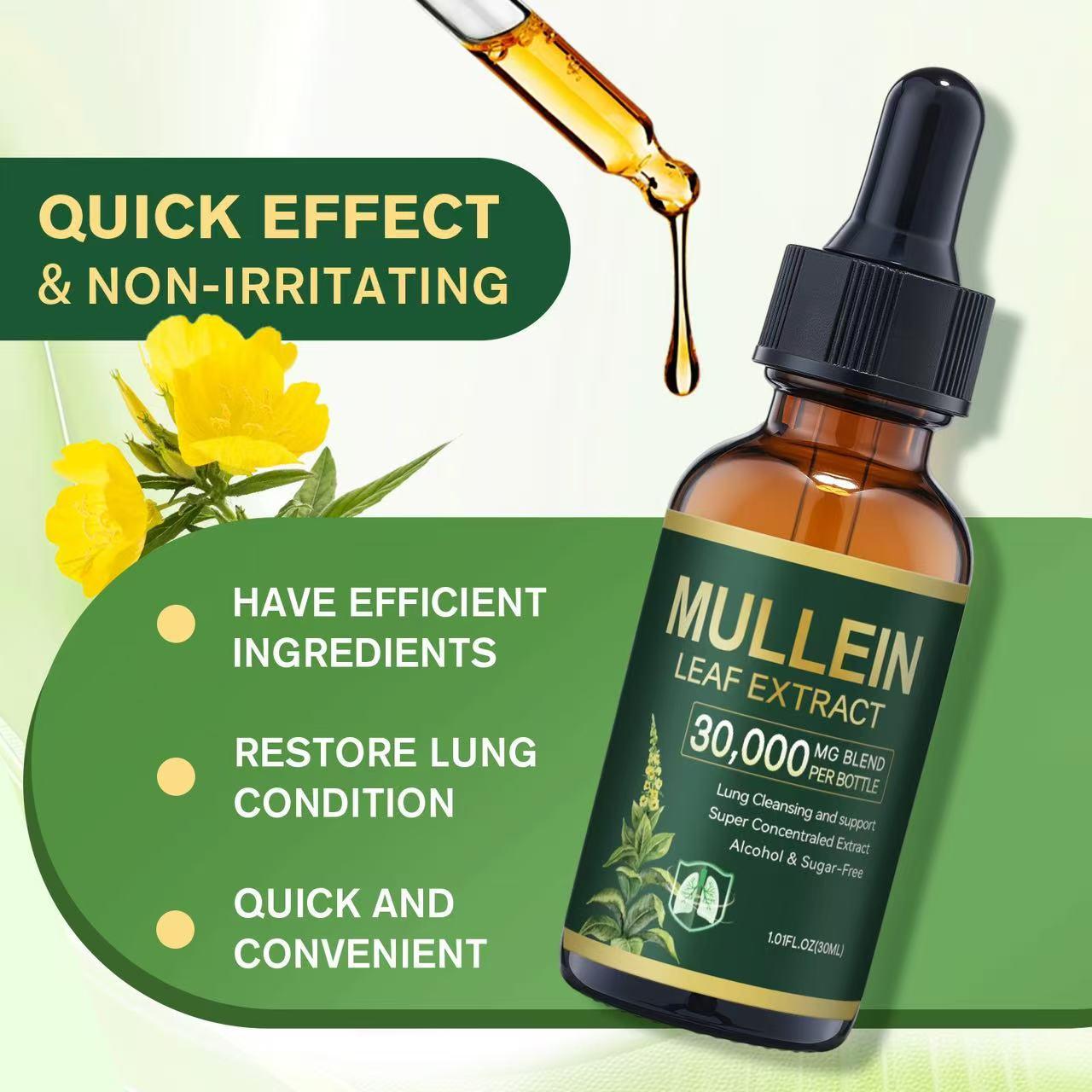 Organic Mullein Leaf extractLung cleansing drops relieve breathing difficulties caused by colds and respiratory fatigue, reduce throat and nasal discomfort, make breathing smooth and comfortable, and dilute phlegm with natural ingredients.