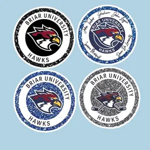 4 Ops (NOT COMBO 4) Off-Campus Booktok Stickers, Ice Hockey Romance, Kindle Decal