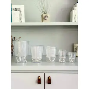 Clear Self Watering Pots