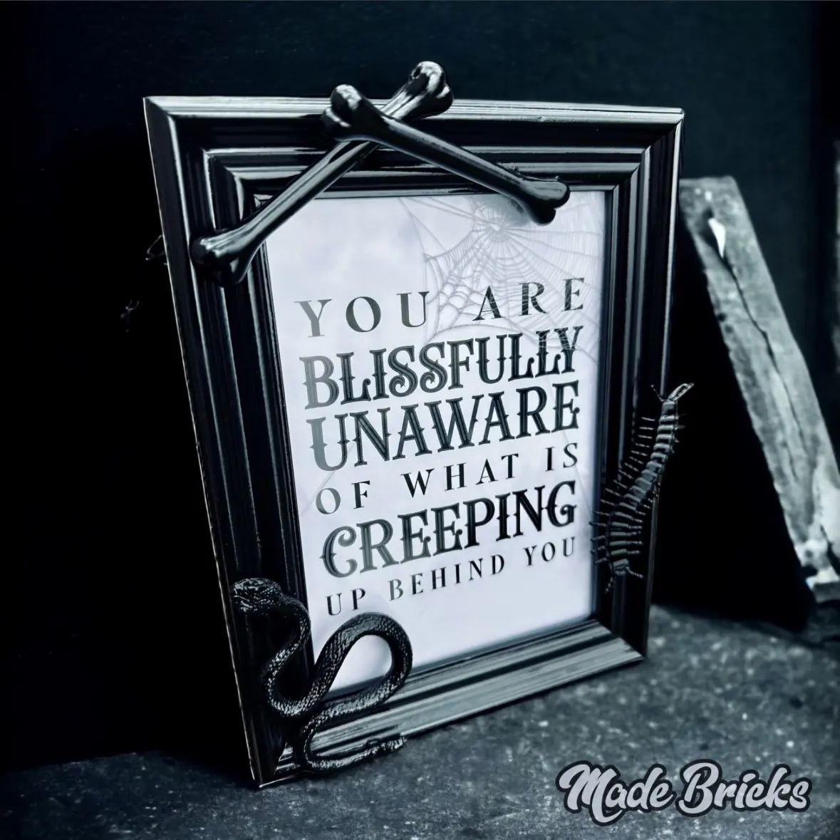 Black Gothic 5x7 Frame – Engraved Spiderweb Embraces the Macabre Dark Cottagecore Aesthetic