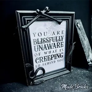 Black Gothic 5x7 Frame – Engraved Spiderweb Embraces the Macabre Dark Cottagecore Aesthetic