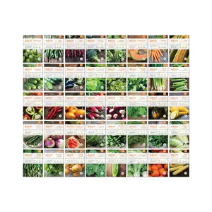 Top 40 Vegetable & Herb Seed Packets - Kit