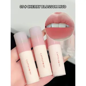 Cappuvini Matte  Velvet Mist Lip Gloss,1Pc Highly Pigmented Long-Lasting Wear Lip Glaze Non-Stick Cup Liquid Lipstick For Beginner, non stick cup lip gloss
