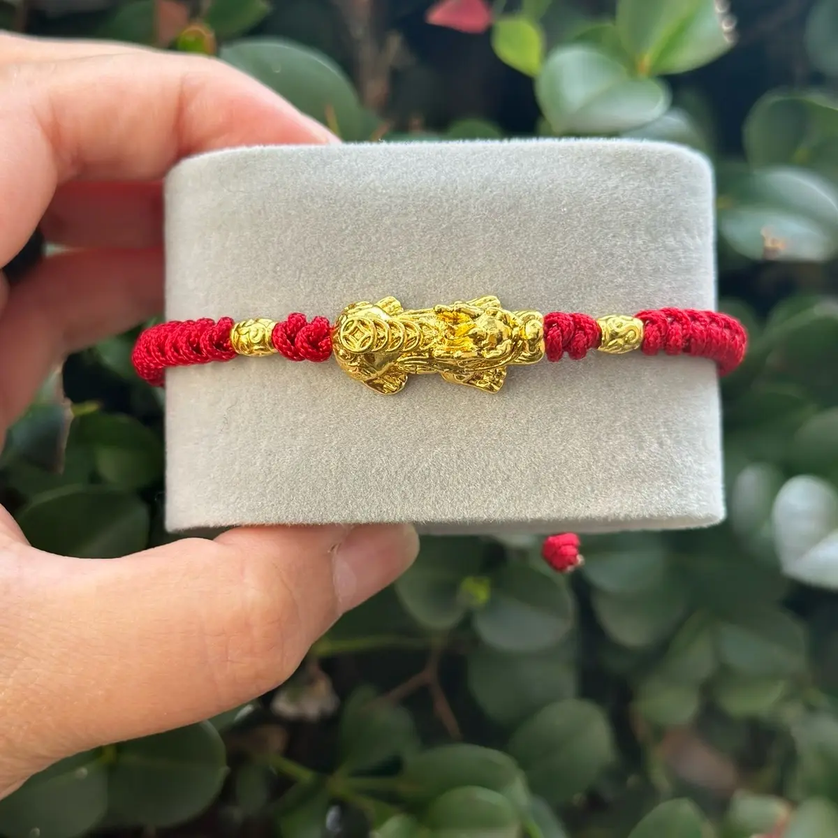 Piyao red bracelets Daily