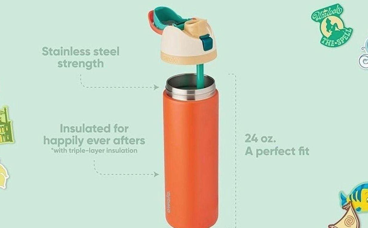 Owala Disney Princess FreeSip Insulated Stainless Steel Water Bottle with Straw for Sports and Travel, BPA-Free Sports Water Bottle, 24 oz, Belle | Disney Princess, Insulated, with Straw, BPA-Free, Sports Water Bottle