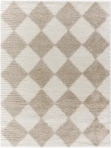 Achaia Beige Area Rug