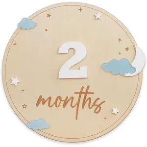 Baby Monthly Milestone Wooden Signs and Milestone Discs (Cloud)
