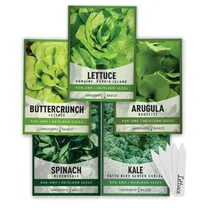 Lettuce Seed Assortment | 5 Variety Pack Home Planting