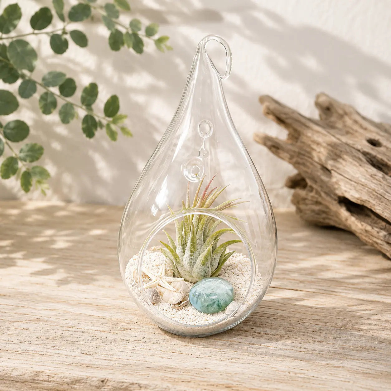 Teardrop Beach Terrarium with White Sand