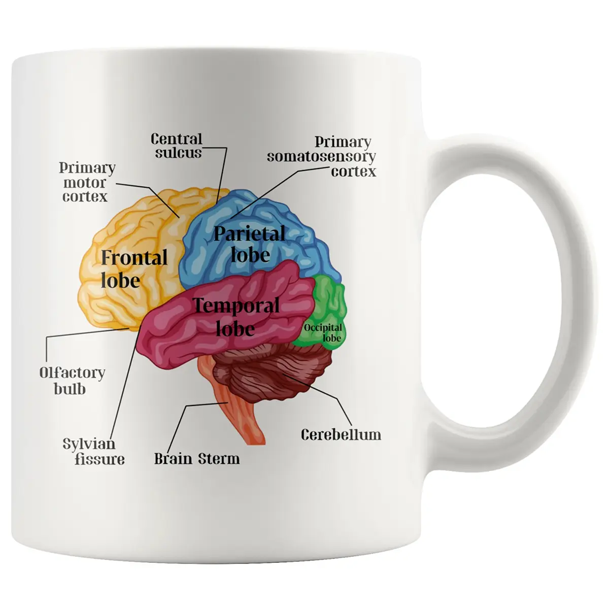 Funny Mug, Funny Psychology Brain Mug, Gift for Neurologist Psychologist, Human Anatomy Teachers Students Gift Ideas, Neuroscience Coffee Mug Gift, Neurology Nurse Mug