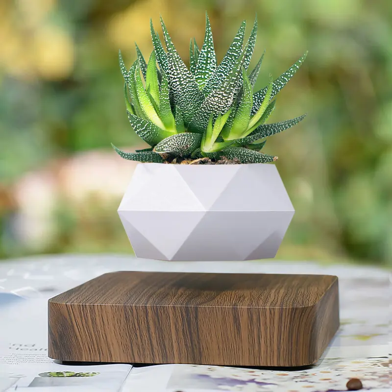 Magnetic Levitating Plant Pot - Floating Bonsai Planter with 360° Rotation, Aesthetic Dynamic Display for Home Decoration, Modern Indoor Nature Accent, Unique Gift for Garden Enthusiasts