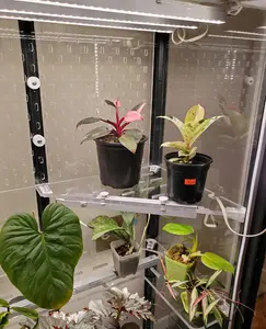 One Standard Pegboard- Milsbo Tall - Clear Acrylic