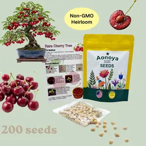 Organic Dwarf Cherry Tree Seeds – 200pcs Non-GMO Heirloom Mini Cherry Seeds