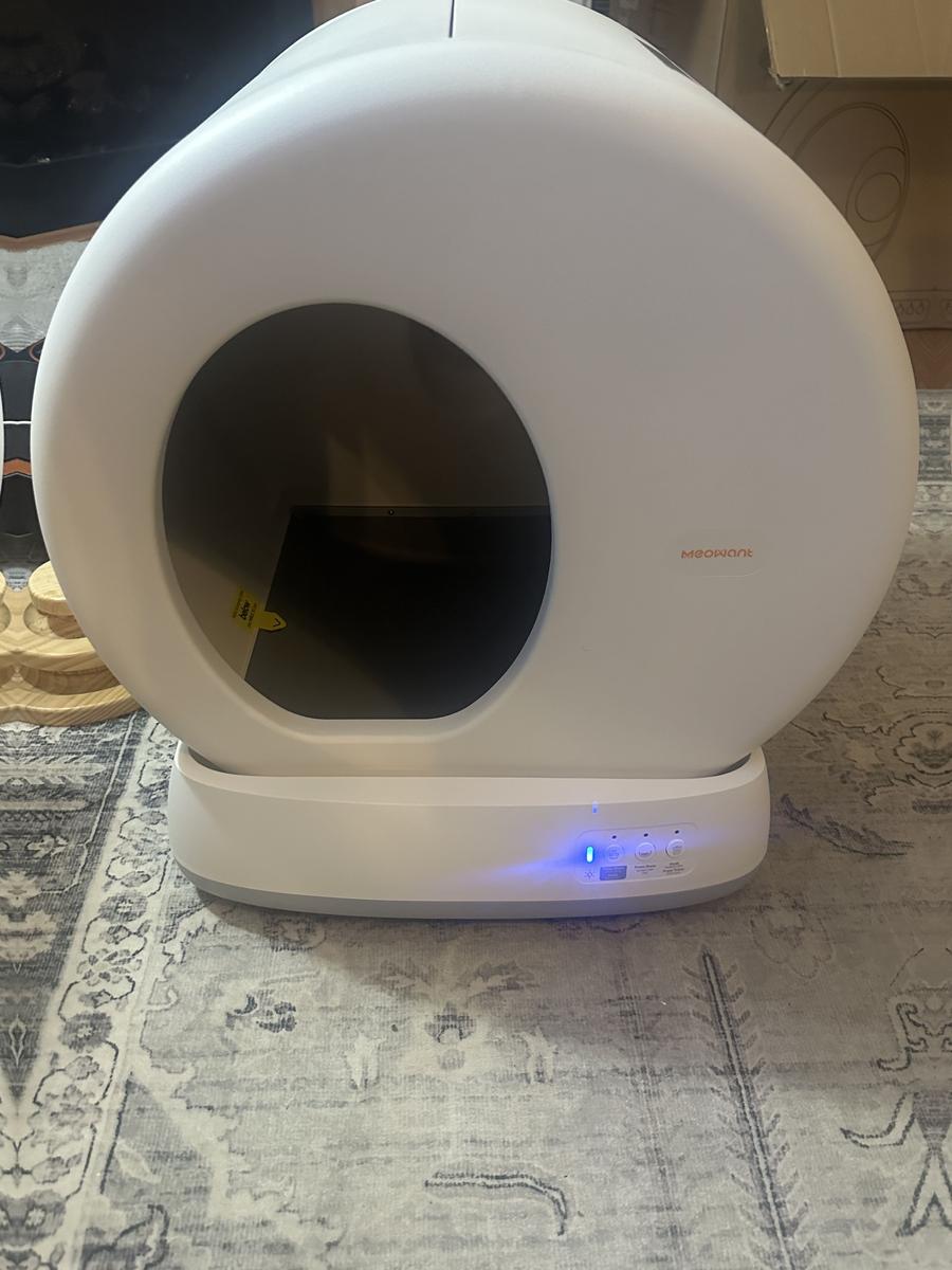 Item: Gray, 1 Cat Litter Box