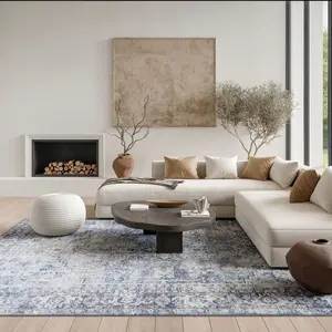 Nourison New Concept Machine Washable Vintage Medallion Indoor Non-Slip Flatweave Home Decor Rug, Decorative Household Low Pile Rug, Decorative Rug