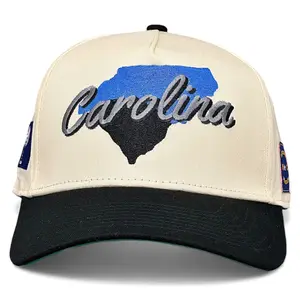 Carolina Snapback - The Panther