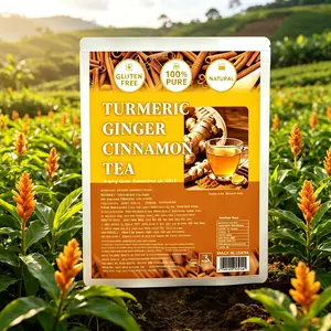 Natural Turmeric Ginger Cinnamon Herbal Tea Bags, Caffeine & Sugar Free Vegan Drink, Anti-Inflammatory Herbal Blend, 60/120 Counts, Eco-Friendly Sachets for Daily Wellness