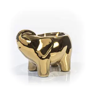 Gold Elephant Candle | Orange Blossom Intense | Out-Of-The-Box