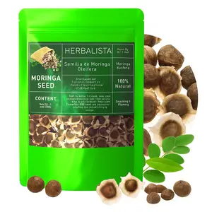 Moringa Seeds – 8 oz (226 g) | Premium PKM1 Variety | Non-GMO | For Snacking & Planting