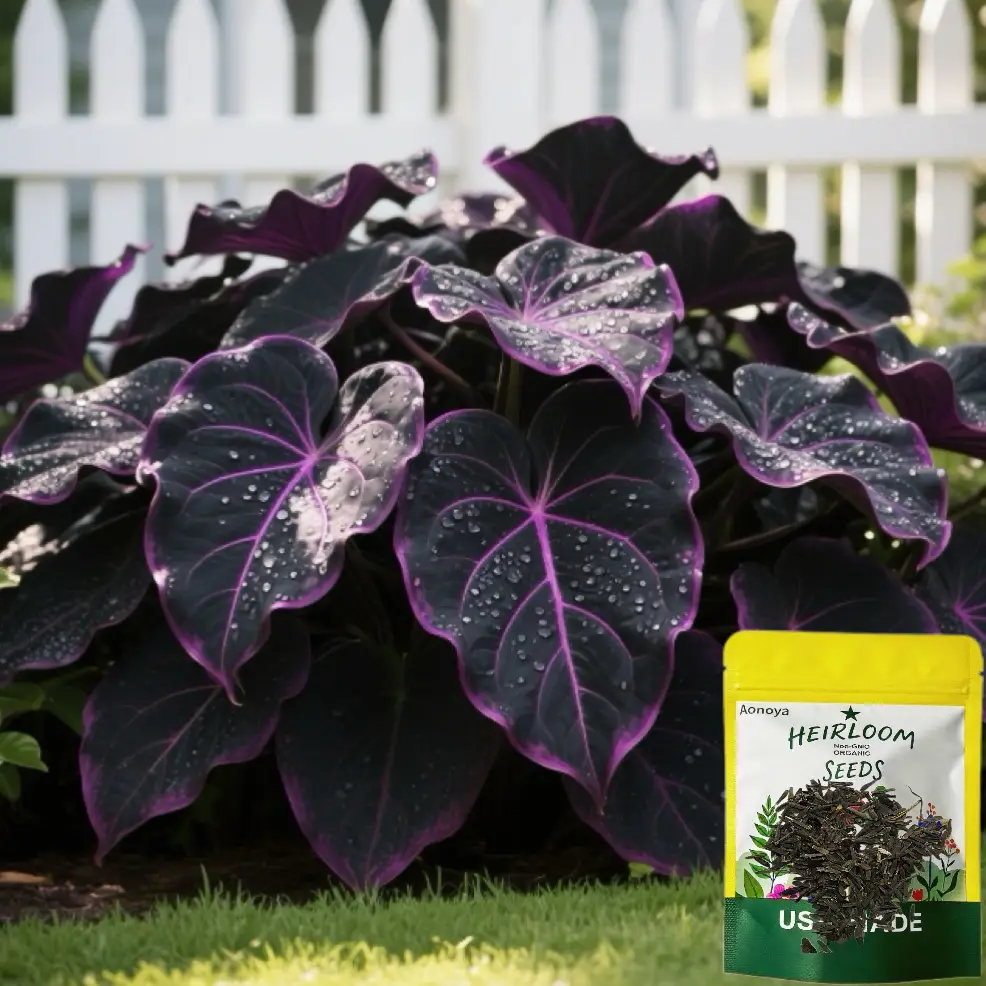 Aonoya Rare Hosta Seeds-Easy to Grow Perennial Shade Garden Ornamental Foliage for Landscaping Outdoor,Low Maintenance for Your Home and Garden,Great 
