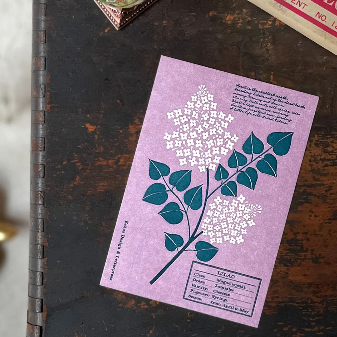 Echos Design Letterpress Postcards – Flower White Spring Series (Cherry, Dogwood, Lilac, Magnolia)