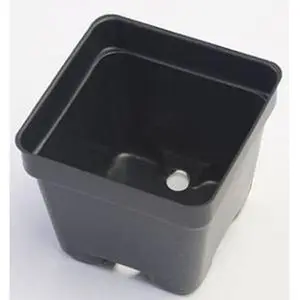 Square Pots- 20pk