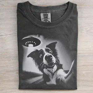 Border Collie T-Shirt, Cute Border Collie Dog Lover Tee, Herding Dog Graphic Shirt, Dog Mom Dog Dad Gift, Smart Dog Breed Shirt, Pet Lover Tee, Gift for Men Women