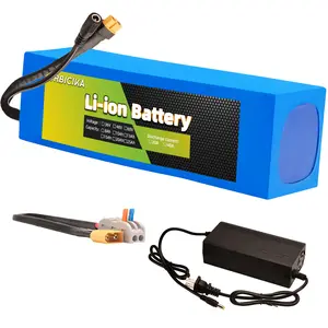 48V 15Ah Lithium Ebike Battery Pack with 3A Charger and BMS for 200-750W Electric Bike, Bicycle, Scooter