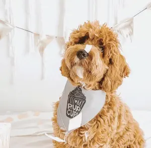 Fill My Pup Cup Puppuccino Bandana