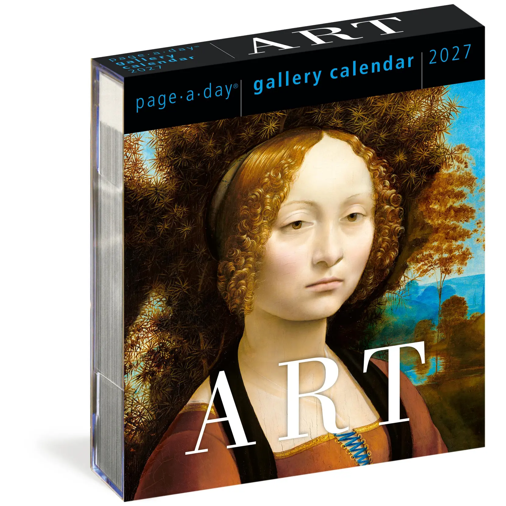 Art Page-A-Day® Gallery Calendar 2027 by Workman Calendars