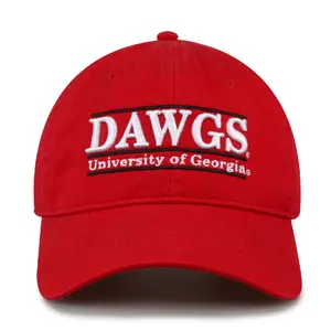 Georgia Dad Cap
