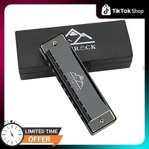EastRock Blues Harmonica Mouth Organ 10 Hole C Key with Case, Diatonic Harmonica for Professional Player, Beginner, Students gifts, Adult, Friends, Gift Black