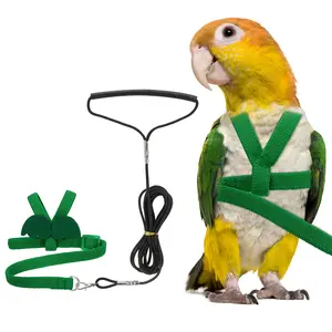 PETAXCELL Bird Harness Leash, Adjustable Pet Parrot Bird Harness and Leash Lightweight Anti-Bite Flight Training Rope with Cute Wing, (Green, XS), Intended for Parrots/Pigeons/Budgies