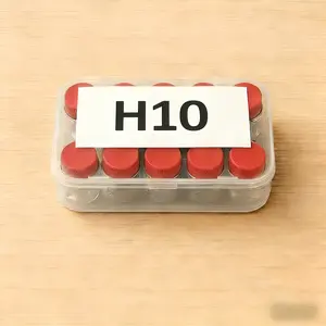 H10