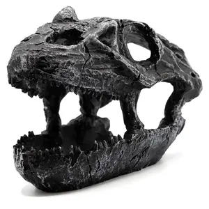 Pangea Dinosaur Skull Reptile Hide