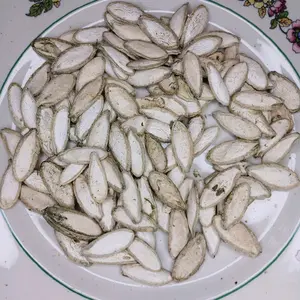 calabaza seed
