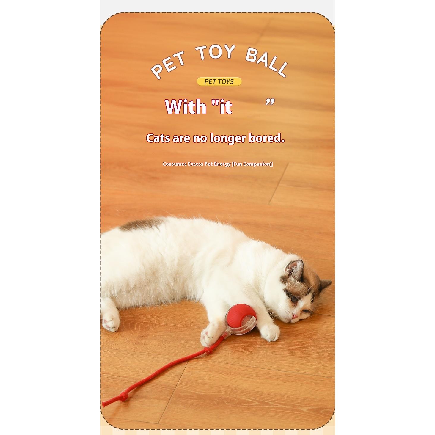 2Pcs Cat Interactive Ball Toys Automatic Rolling Ball Faux Tail Rechargeable Smart Pet Electric Toy Cat Training Imitate Mouse