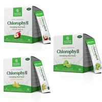3 Flavor Chlorophyll Variety Bundle