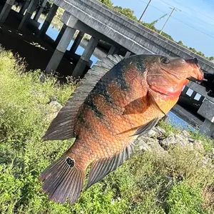 R&W Co. Highly Scented Mop Soap (Concentrated Formula) 32oz/900g by